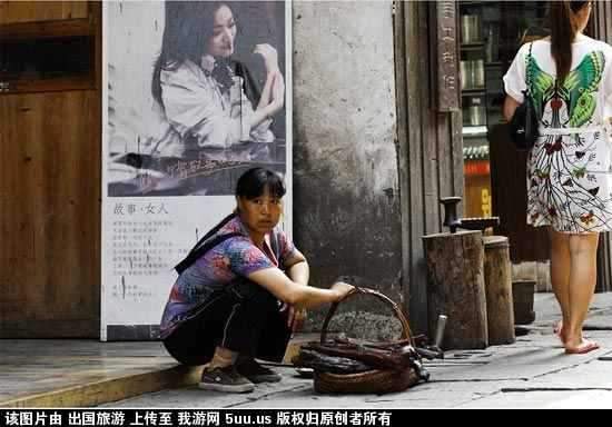 湖南旅游2.jpg
